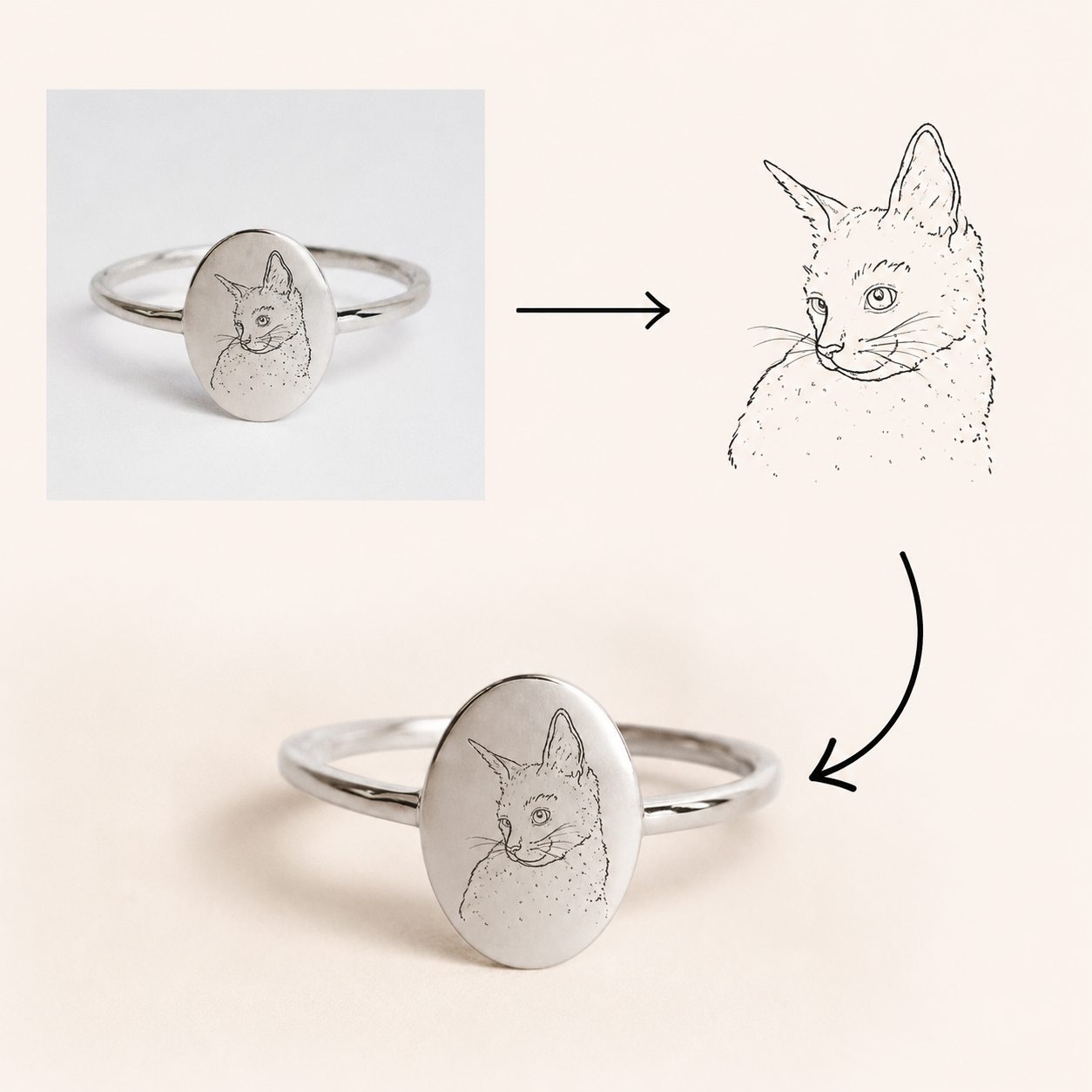 Illustration Ring
