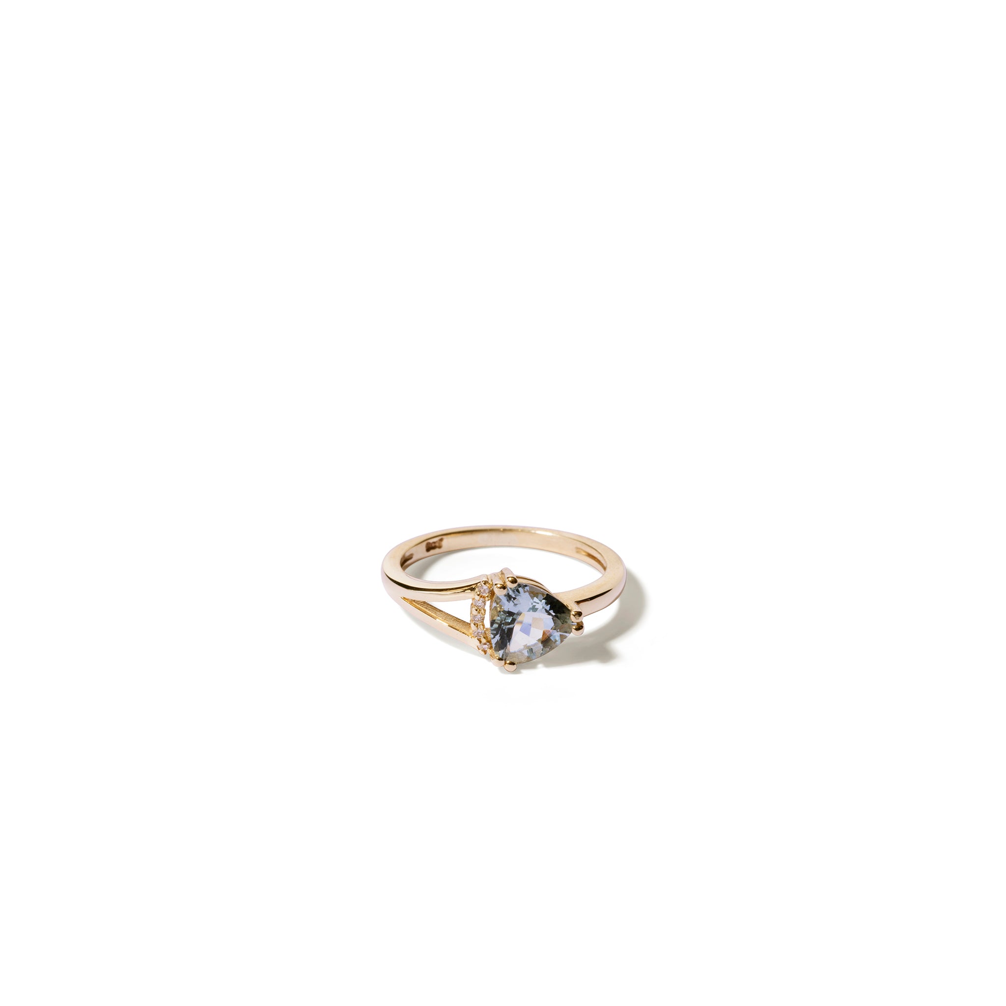 The Aqua Ring