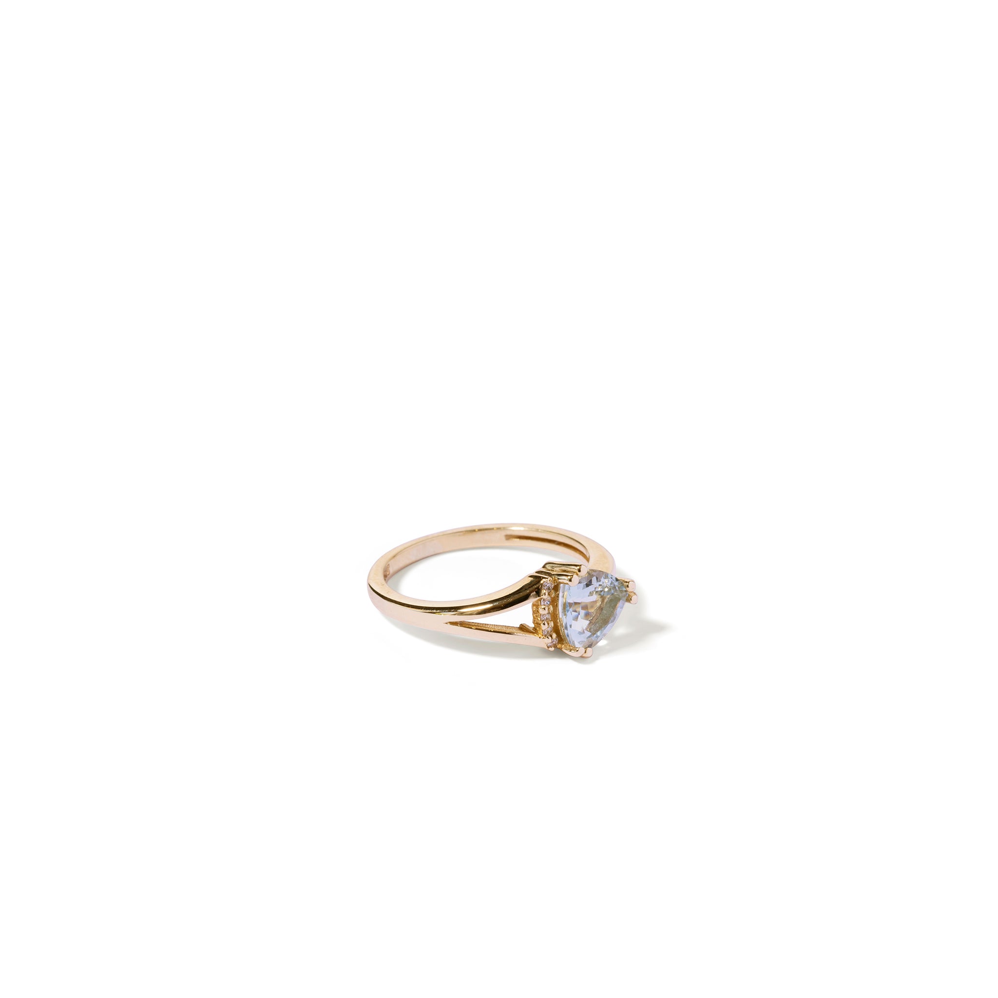 The Aqua Ring