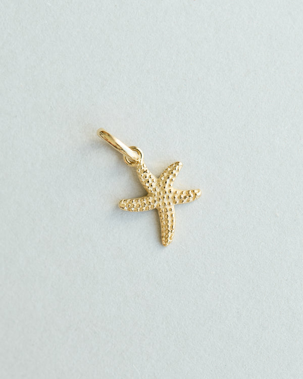 Starfish Charm