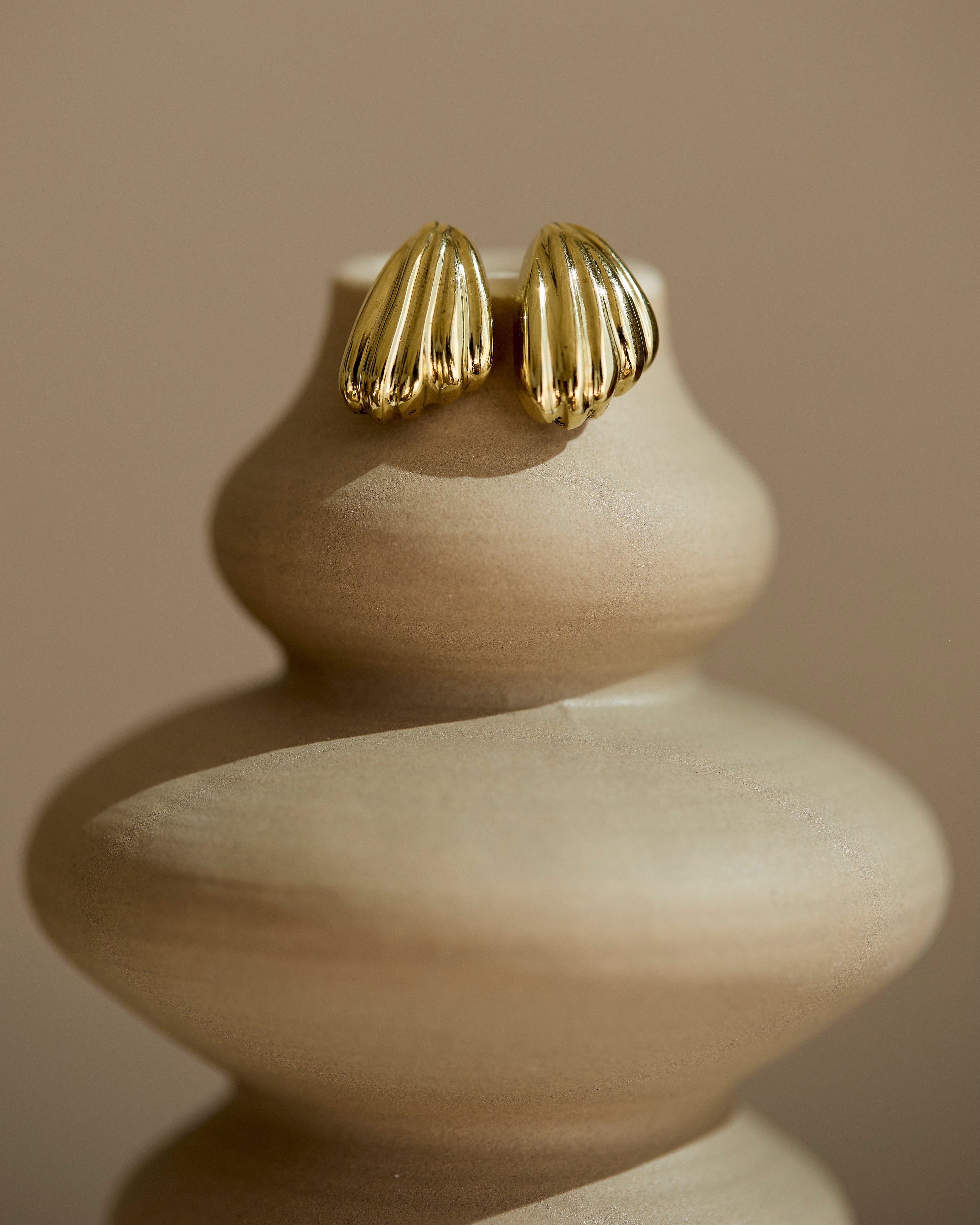 Small Shell Earrings
