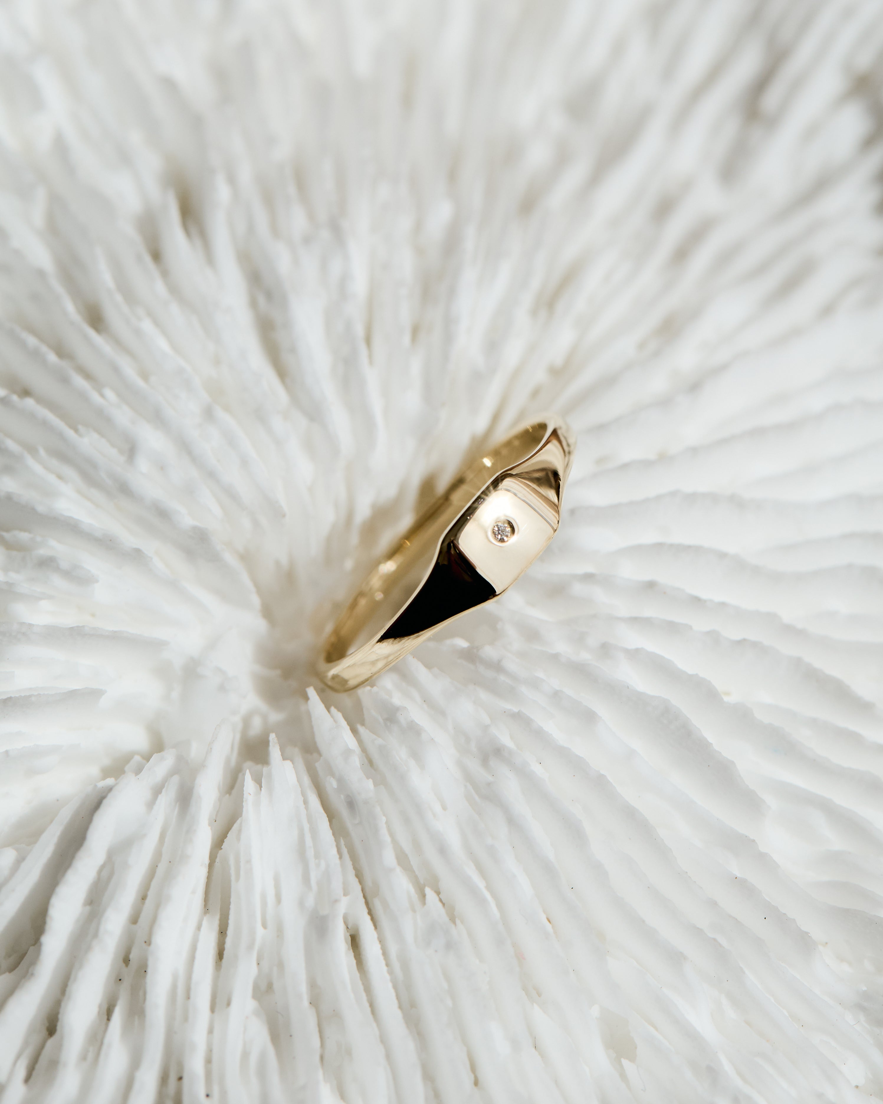 The Whisper stone band