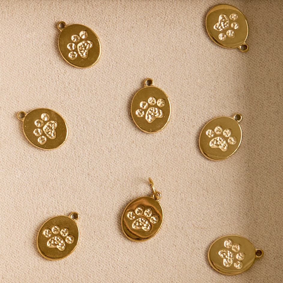 Paw Print Disc Charm