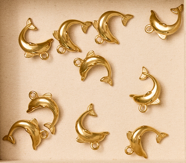 Dolphin Charm
